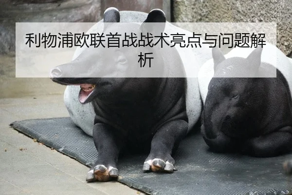 利物浦欧联首战战术亮点与问题解析